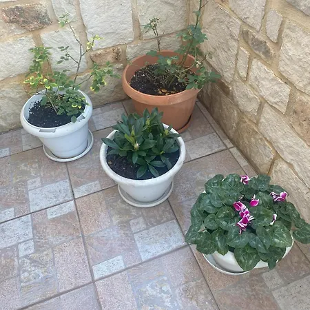 New Unique In Apartment Heraklion (Crete)